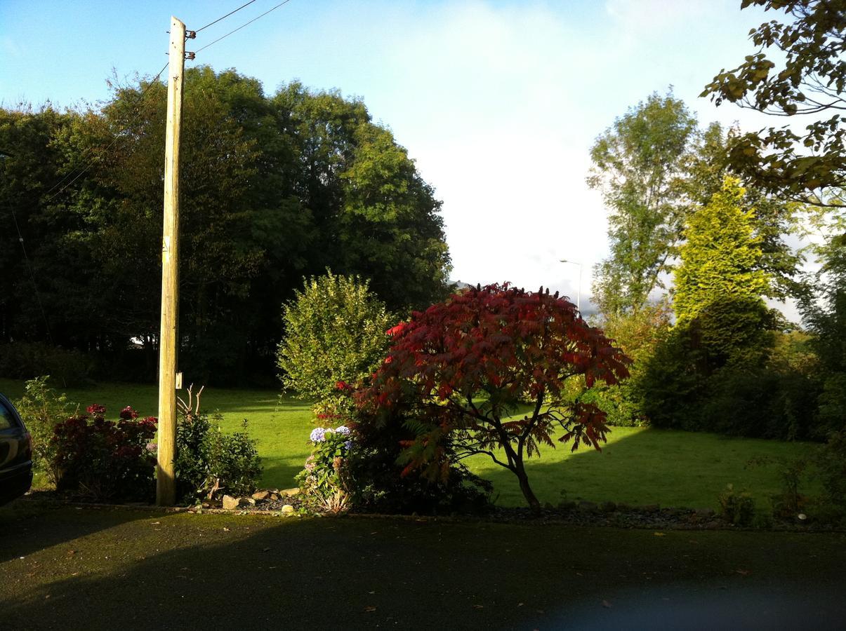 Trem Hyfryd B&B Dolgellau Exteriér fotografie